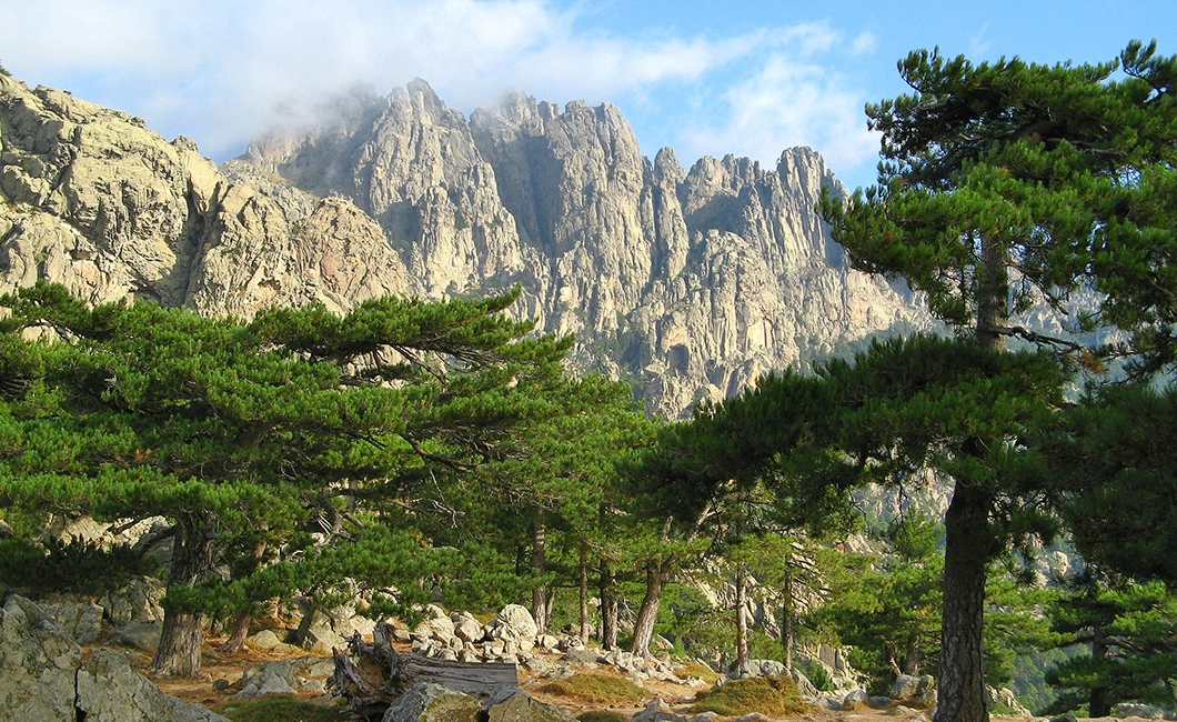 Diaporama
